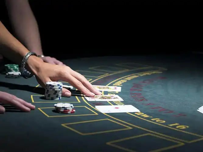 hk master live-dealer studio setup with professional croupiers and HD streaming